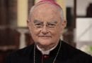 Papal Envoy in Ireland with Pope…”The crisis of the family is devastating…That’s why so many families come to Medjugorje.”